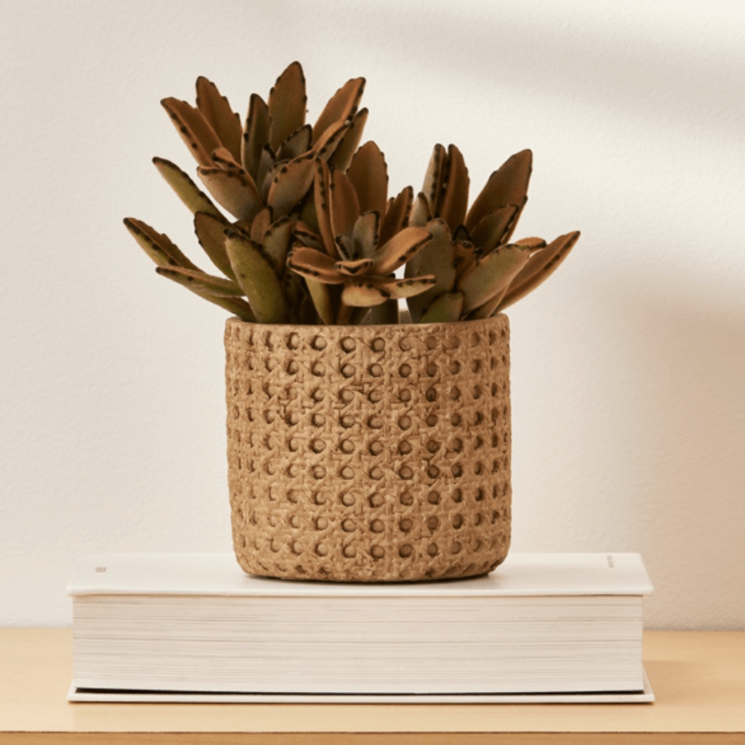Vaso Cachepot Decorativo em Cimento M 16cm