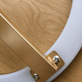 Luminária de Teto Plafon Circular Lumina LEDZ – Dourado/Preto – 20cm/30cm