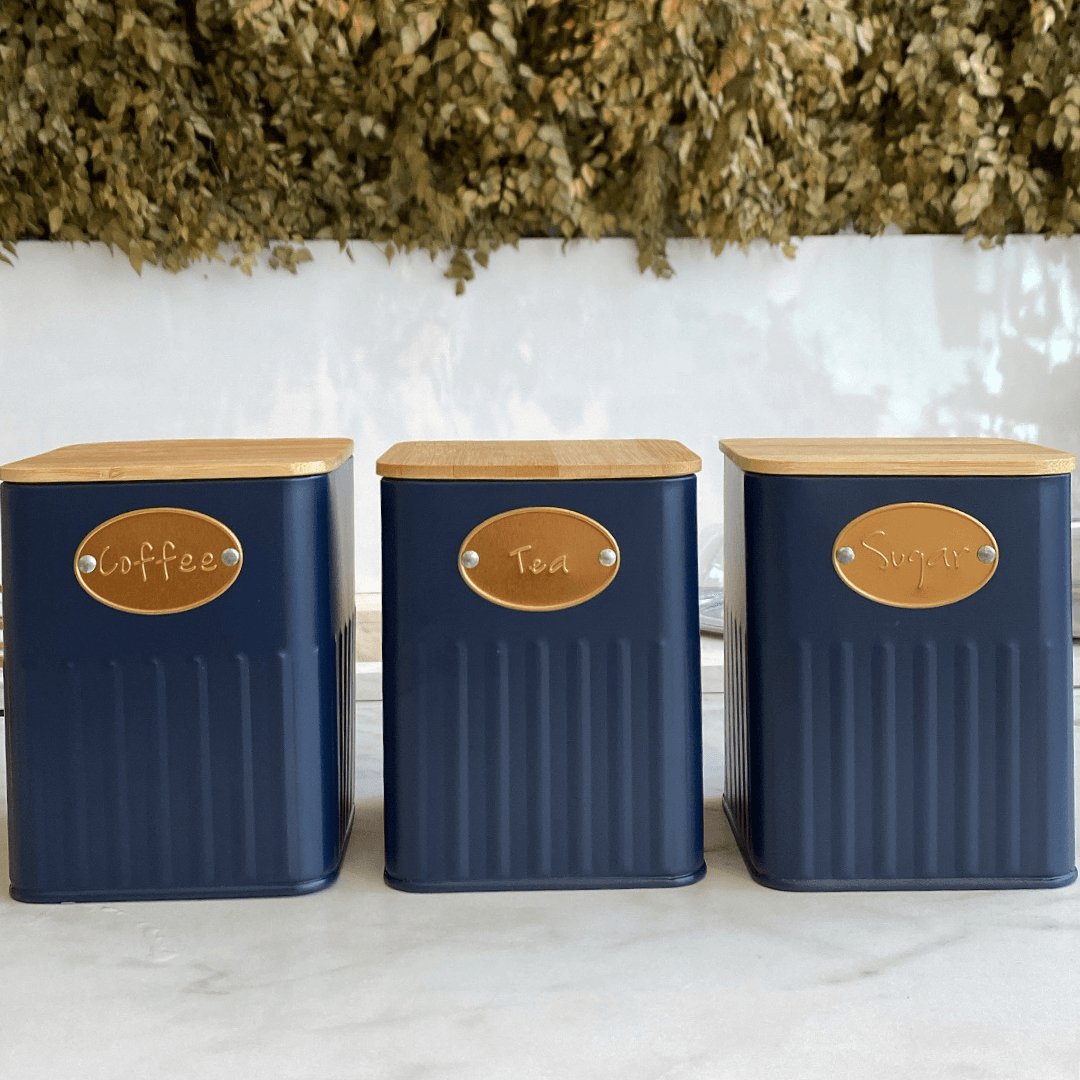 Conjunto De Potes Porta Condimento De Ferro 3pcs Azul e Madeira
