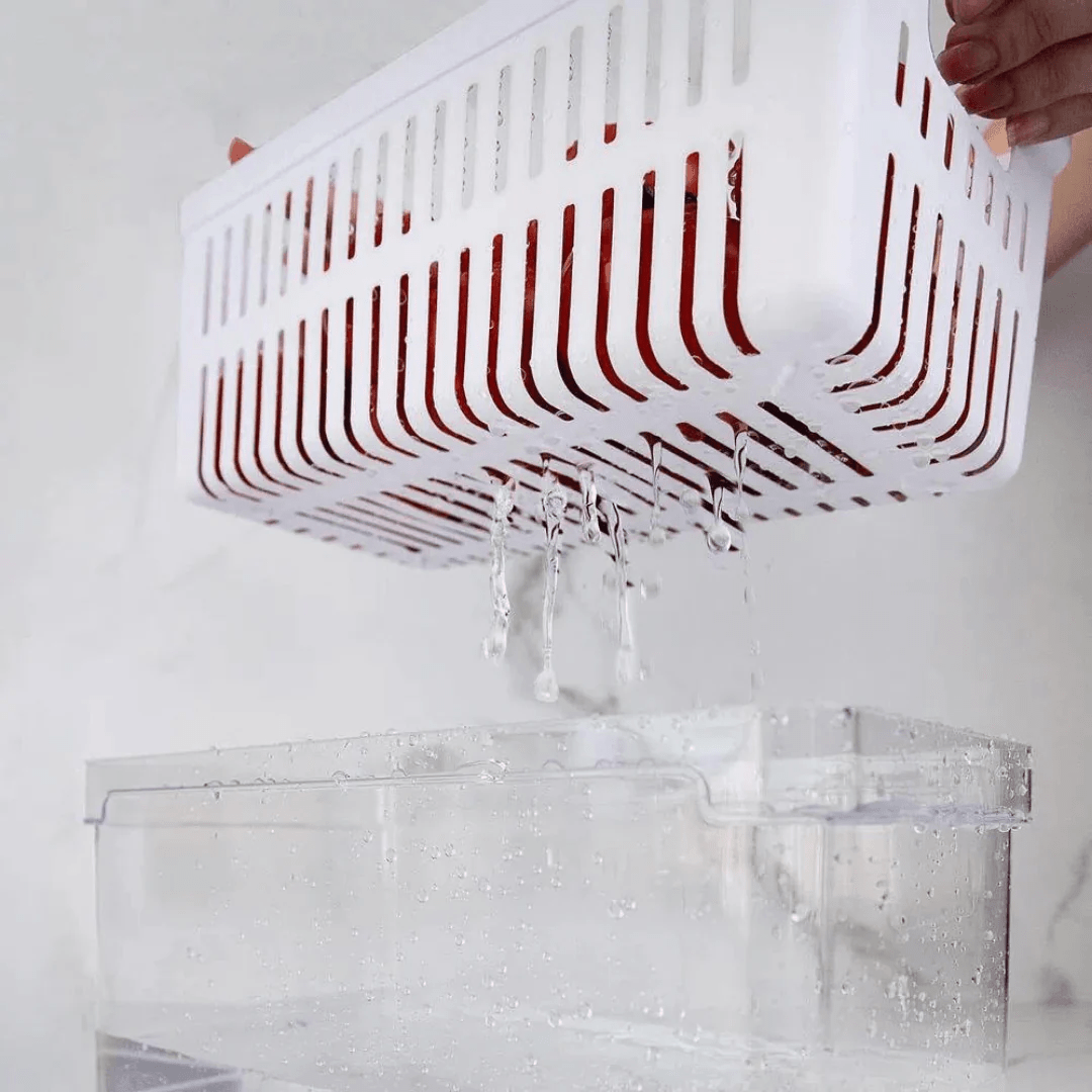 Kit 2 Organizadores Clear Fresh com Cesto 5 Litros